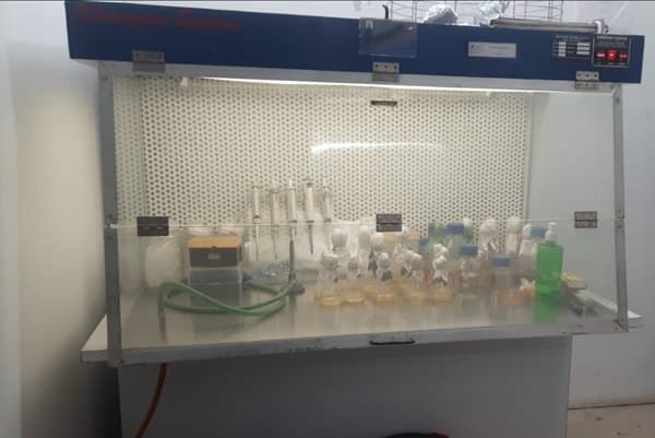 Samples prepared under a laminar airflow unit